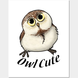 Owl Cute Posters and Art